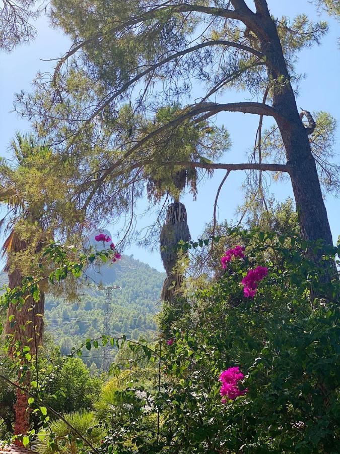 El Botanico De Sagra Hotel Exterior photo