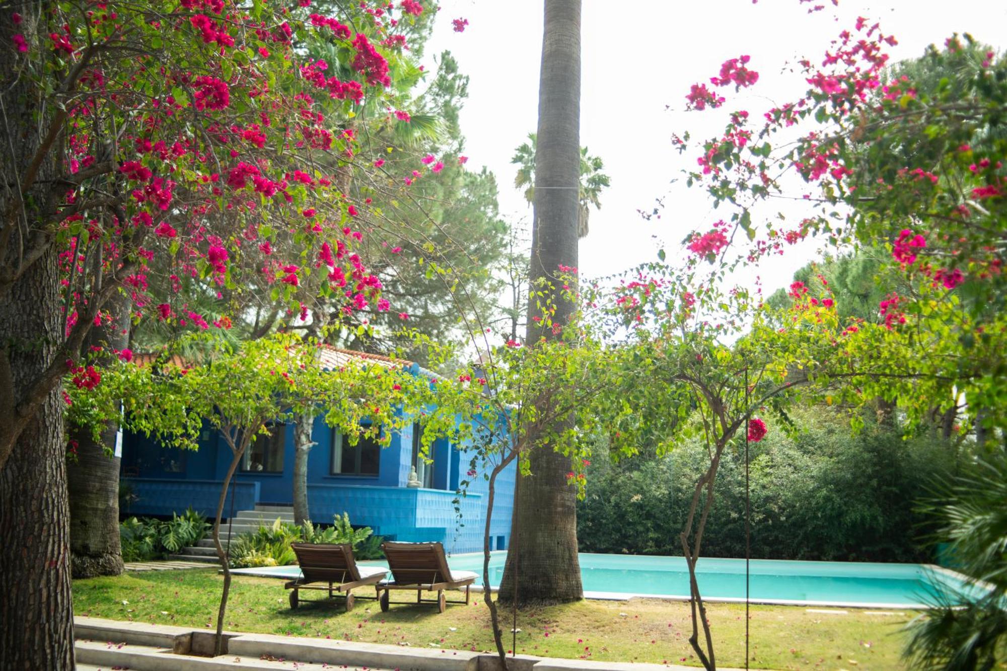 El Botanico De Sagra Hotel Exterior photo